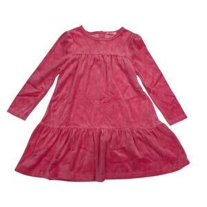 NWT Bisby Size 2 Rose Velour Lisle Dress